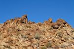 IMG_2362_DxO_raw_Joshua_Tree_NP_49_Palms_Trail_Forum.jpg