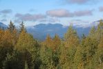 IMG_2397_Wells_Gray_PP_Green_Mountain_Viewing_Tower_Blick_Foot_Lake_forum.jpg