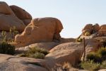 IMG_2424_DxO_raw_Joshua_Tree_NP_Skull_Rock_Trail_Forum.jpg