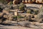 IMG_2428_DxO_raw_Joshua_Tree_NP_Skull_Rock_Trail_Kunstinstallation_Forum.jpg