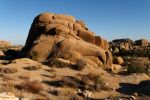 IMG_2437_DxO_raw_Joshua_Tree_NP_Skull_Rock_Trail_Forum.jpg