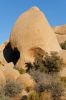 IMG_2446_DxO_raw_Joshua_Tree_NP_Skull_Rock_Forum.jpg