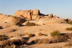 IMG_2452_DxO_raw_Joshua_Tree_NP_Skull_Rock_Trail_Forum.jpg