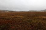 Tupper Lake