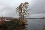 Tupper Lake