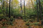 IMG_2545_Bubb_Lake_Trail_Forum.jpg