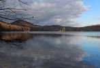 IMG_2553_Moss_Lake_Forum.jpg