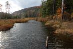 IMG_2555_Bach_am_Moss_Lake_Forum.jpg
