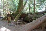 07 Alice Lake