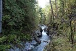 IMG_2713_Little_Qualicum_Falls_PArk_forum.jpg