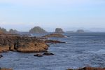 IMG_2757_Ucluelet_Wild_Pacific_Trail_Inseln_forum.jpg