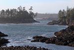 IMG_2774_Ucluelet_Wild_Pacific_Trail_Bucht_forum.jpg