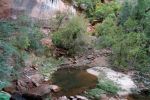 IMG_2795_DxO_raw_Zion_NP_Lower_Emerald_Pool_Forum.jpg