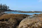 IMG_2821_Wickaninnish_Beach_Felsen_forum.jpg