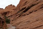 IMG_3167_DxO_raw_Canyon_de_Chelly_White_House_Trail_Forum.jpg