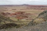 IMG_3311_DxO_raw_Petrified_Forest_NP_Painted_Desert_Forum.jpg