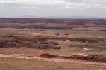 IMG_3315_DxO_raw_Petrified_Forest_NP_Painted_Desert_Forum.jpg