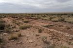 IMG_3320_DxO_raw_Petrified_Forest_NP_Puerco_Pueblo_Forum.jpg