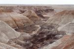 IMG_3346_DxO_raw_Petrified_Forest_NP_Blue_Mesa_Forum.jpg