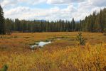 IMG_3477_Cottonwood_Pass_Pass_Creek_k.jpg