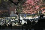 IMG_3539_Boston_Granary_Burying_Ground_Forum.jpg