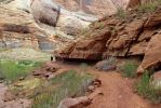 16 Rainbow Bridge