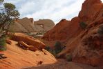14 Pekaboo Arch