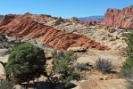 IMG_4733_Capitol_Reef_NP_Frying_Pan_Trail_k.jpg