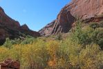 IMG_4928_Negro_Bill_Canyon_k.jpg