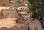 IMG_5085_Colorado_NM_Devils_Kitchen_Trail_Hase_k.jpg