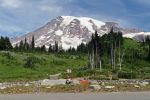 Mt Rainier von Paradise