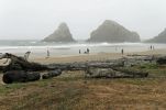 IMG_6918_DxO_Heceta_Head_Forum.jpg