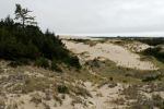 IMG_6932_DxO_raw_Oregon_Dunes_Forum.jpg