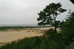 Oregon Dunes
