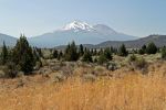 Mt Shasta