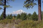 Mt Shasta