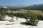 Tuolumne Meadows