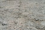 IMG_7705_DxO_Yosemite_Pothole_Dome_Granitfalte_Forum.jpg