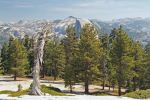 Half Dome