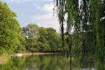 Piedmont Park