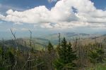 Clingmans Dome