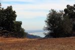 Topanga State Park