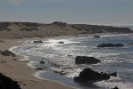 San Simeon See Elefanten