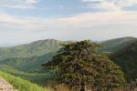 IMG_9207_DXO.jpg