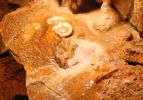 Luray Caverns, Fried Eggs