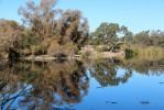 Heather Farm Park