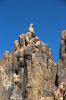 IMG_9496_Alabama_Hills_Steinadler_forum.jpg
