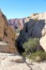 IMG_9725_Snow_Canyon_White_Rocks_Trail_Blick_forum.jpg