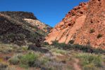 Yellow Knolls Trail