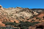Yellow Knolls